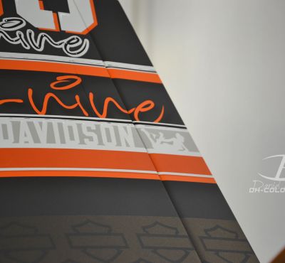 DH Colorworks - Daniel Hirscher