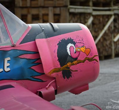 DH Colorworks - Daniel Hirscher