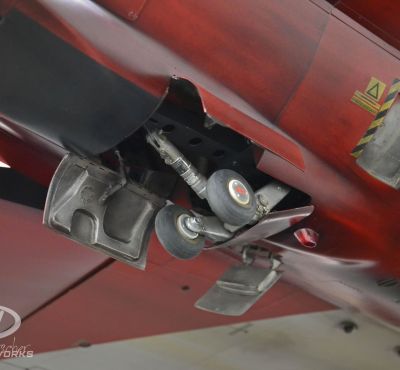 DH Colorworks-Daniel Hirscher