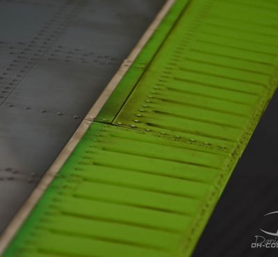 DH Colorworks-Daniel Hirscher