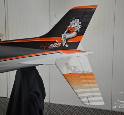 DH Colorworks - Daniel Hirscher