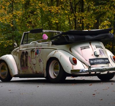 DH Colorworks - Daniel Hirscher