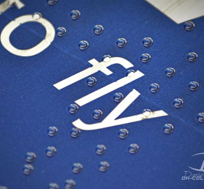 DH Colorworks - Daniel Hirscher