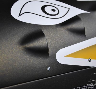 DH Colorworks - Daniel Hirscher