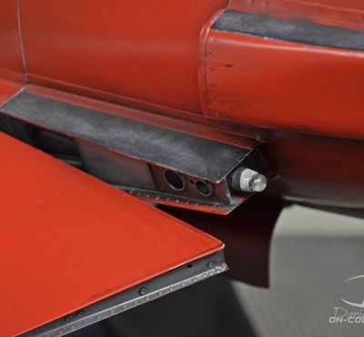 DH Colorworks-Daniel Hirscher