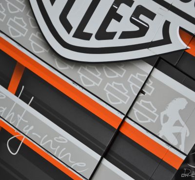 DH Colorworks - Daniel Hirscher