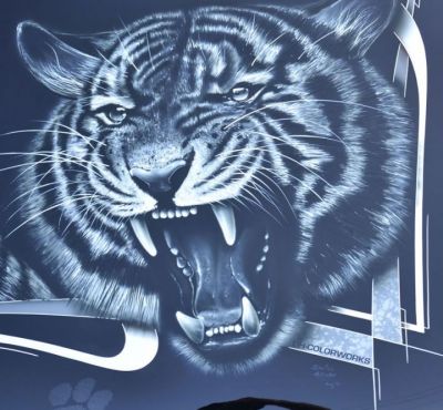 DH Colorworks - Daniel Hirscher