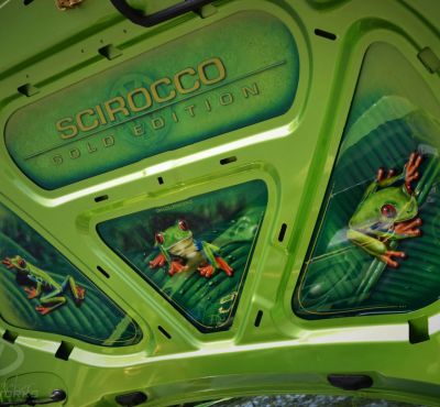 DH Colorworks - Daniel Hirscher