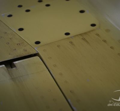 DH Colorworks - Daniel Hirscher