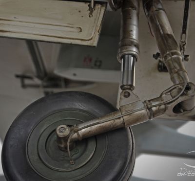 DH Colorworks - Daniel Hirscher