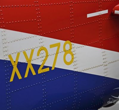 DH Colorworks - Daniel Hirscher