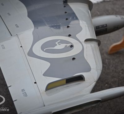 DH Colorworks - Daniel Hirscher