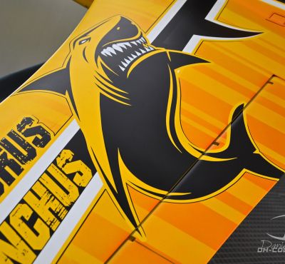 DH Colorworks - Daniel Hirscher