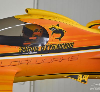 DH Colorworks - Daniel Hirscher