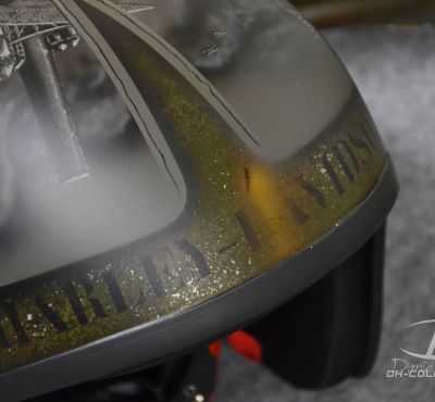 DH Colorworks - Daniel Hirscher