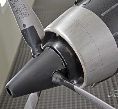 DH Colorworks - Daniel Hirscher