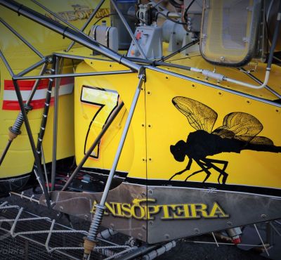 DH Colorworks - Daniel Hirscher