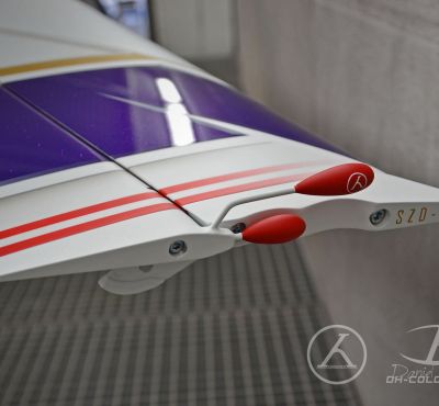 DH Colorworks - Daniel Hirscher & Daddy