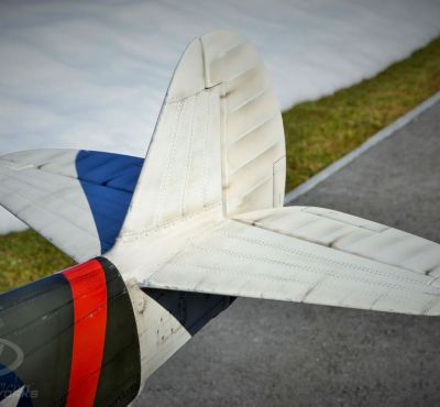 DH Colorworks - Daniel Hirscher