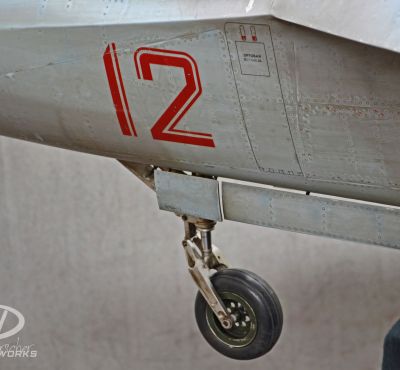 DH Colorworks - Daniel Hirscher