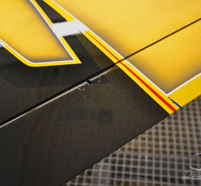 DH Colorworks - Daniel Hirscher