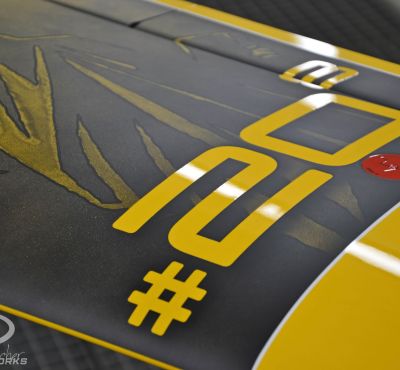 DH Colorworks - Daniel Hirscher