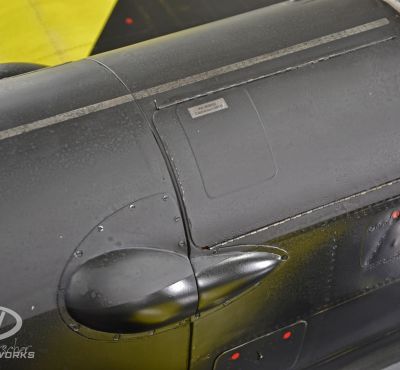 DH Colorworks - Daniel Hirscher