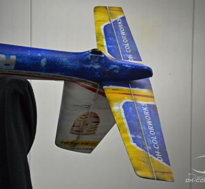 DH Colorworks - Daniel Hirscher