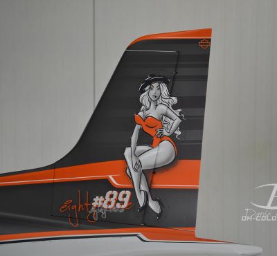 DH Colorworks - Daniel Hirscher