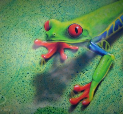 DH Colorworks - Daniel Hirscher