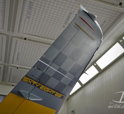 DH Colorworks - Daniel Hirscher