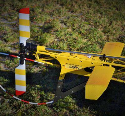 DH Colorworks - Daniel Hirscher