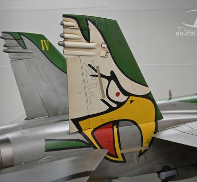 DH Colorworks - Daniel Hirscher