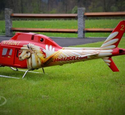 DH Colorworks - Daniel Hirscher