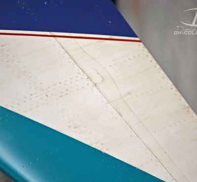 DH Colorworks - Daniel Hirscher