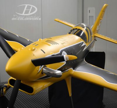 DH Colorworks - Daniel Hirscher