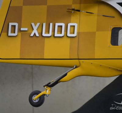 DH Colorworks - Daniel Hirscher