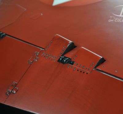 DH Colorworks-Daniel Hirscher