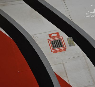 DH Colorworks-Daniel Hirscher