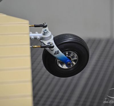 DH Colorworks - Daniel Hirscher