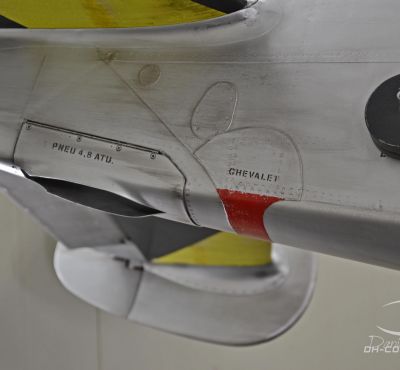 DH Colorworks - Daniel Hirscher