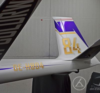 DH Colorworks - Daniel Hirscher & Daddy