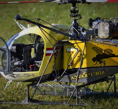 DH Colorworks - Daniel Hirscher