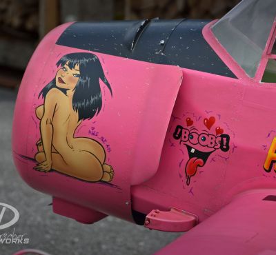 DH Colorworks - Daniel Hirscher