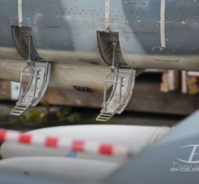 DH Colorworks - Daniel Hirscher