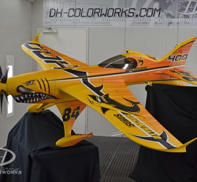 DH Colorworks - Daniel Hirscher