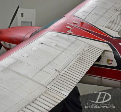 DH Colorworks - Daniel Hirscher