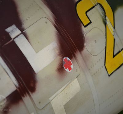 DH Colorworks - Daniel Hirscher