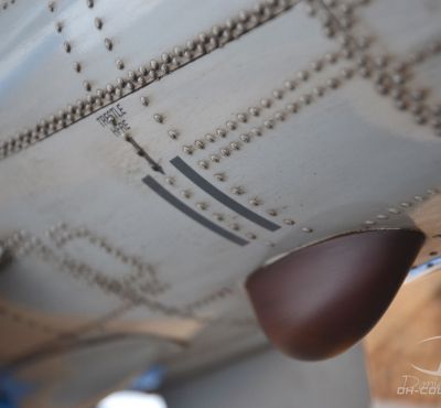 DH Colorworks - Daniel Hirscher