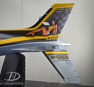 DH Colorworks - Daniel Hirscher